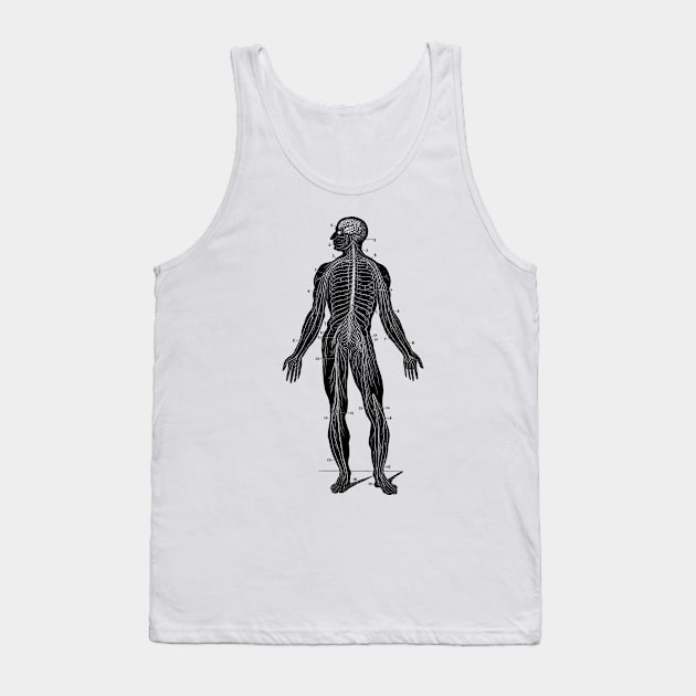 Human Lymphatic System - Vintage Anatomy Tank Top by Vintage Anatomy Prints